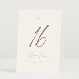 "Full Photo" - Table Numbers in Chiffon by Orasie - Folded