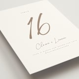 "Full Photo" - Table Numbers in Chiffon by Orasie - Detail