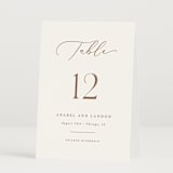 "Luxe script" - Table Numbers in Pearl by Hooray Creative - Folded