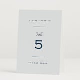 "Modernne" - Table Numbers in Powder by Carolyn MacLaren - Folded