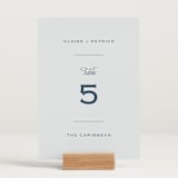 "Modernne" - Table Numbers in Powder by Carolyn MacLaren - Displayed (stand not included)