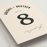 "Spin" - Table Numbers in Cream by Pixel and Hank - Detail