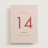 "Jot" - Table Numbers in Peach Cream by Snow and Ivy - Front