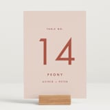 "Jot" - Table Numbers in Peach Cream by Snow and Ivy - Displayed (stand not included)