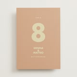 "Sienna" - Table Numbers in Salmon by Ellen Schlegelmilch - Front