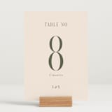 "Fero" - Table Numbers in Blush by Pati Cascino - Displayed (stand not included)