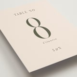 "Fero" - Table Numbers in Blush by Pati Cascino - Detail