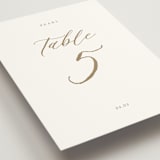 "Vintage Whimsy" - Table Numbers in Peony by Corinne Malesic - Detail