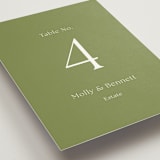 "Perriand" - Table Numbers in Moss by Megan Davis - Detail