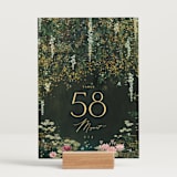 "New Orleans from Disney's Princess and The Frog" - Table Numbers in Mystic by Phrosné Barwood - Displayed (stand not included)