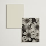 "Nonnette" - Table Numbers in Vanilla by Blustery August - Back of Card Options