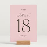 "Nola" - Table Numbers in Peony by Megan Davis - Displayed (stand not included)