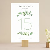 "Leaf Arc" - Table Numbers in Sage by Ariel Rutland - Front