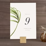 "palmetto" - Table Numbers in Palmetto by kelli hall - Front