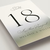 "East Coast Lighthouse" - Table Numbers in Snow by Becky Nimoy - Detail