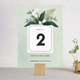 "Botanical Name Plate" - Table Numbers in Sage by Shiny Penny Studio - Front