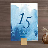 "misty forest" - Table Numbers in Navy by Ariel Rutland - Front