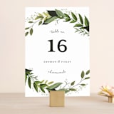 "Vines of Green" - Table Numbers in Fern by Susan Moyal - Front