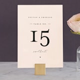 "Simply Perfect" - Table Numbers in Blush by Brianne Larsen - Front