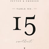 "Simply Perfect" - Table Numbers in Blush by Brianne Larsen - Detail
