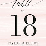 "Effervescent" - Table Numbers in Blush by Kristie Kern - Detail