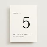 "Sketched Mountains" - Table Numbers in Snow by Mere Paper - Front