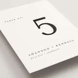 "Sketched Mountains" - Table Numbers in Snow by Mere Paper - Detail