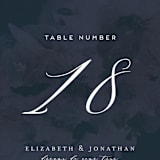 "Dash" - Table Numbers in Midnight by Grace Kreinbrink - Detail