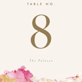 "desert chic" - Table Numbers in Blush by AK Graphics - Detail