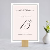 "Simply Framed" - Table Numbers in Blush by Maddy Hague - Front