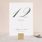 "Roman Shade" - Table Numbers in Evergreen by Carrie ONeal - Front