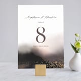 "Enchantment" - Table Numbers in Smoke by iamtanya - Front