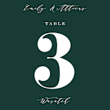 "Picture Perfect" - Table Numbers in Diamond by Amy Payne - Detail