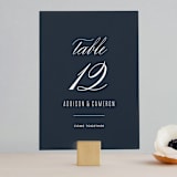 "Swoop" - Table Numbers in Midnight by Jen Banks - Front