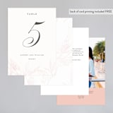 "Flora" - Table Numbers in Blush by Nicoletta Savod - Back of Card Options