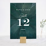 "Succulent Center" - Table Numbers in Cactus by Jessica Williams - Front