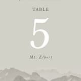 "Modern Mountain" - Table Numbers in Fog by Stephanie Biller - Detail