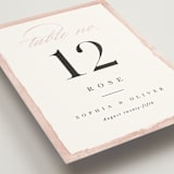 "First Love" - Table Numbers in Blush by Pixel and Hank - Detail
