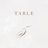 "Sonesta" - Table Numbers in Mineral by Hooray Creative - Detail