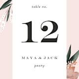 "Rustica" - Table Numbers in Cantaloupe by Petra Kern - Detail