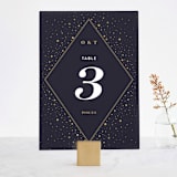 "Magical Day" - Table Numbers in Navy by katrina gem - Front