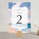 "Sand & Sun" - Table Numbers in Ocean by Nicole Walsh - Front