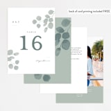 "Silver Dollar Eucalyptus" - Table Numbers in Silver Dollar by Shannon Chen of Four Wet Feet Studio - Back of Card Options