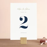 "Bold Love" - Table Numbers in Antique by Brandy Folse - Front