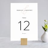 "AND" - Table Numbers in Carnation by Kim Dietrich Elam - Front
