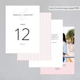 "AND" - Table Numbers in Carnation by Kim Dietrich Elam - Back of Card Options