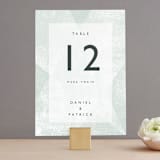 "Elegantly Minimal" - Table Numbers in Seafoam by itsjensworld - Front