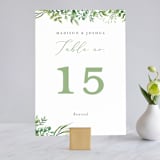"Bright & Green" - Table Numbers in Sprig by Amanda Day - Front