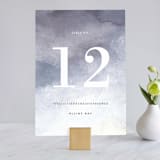 "Sea Splash" - Table Numbers in Amethyst by Alethea and Ruth - Front
