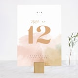 "Morning Mist" - Table Numbers in Blush by Carrie ONeal - Front
